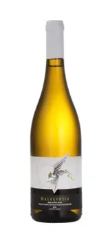 Kidonis Winery Malagouzia
